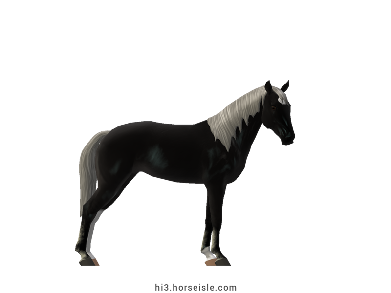 Smokey Valley Horse Sooty Ebony Blue Silver Coat